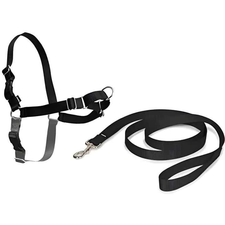 Nayeco Arnes Easy Walk Mediano Negro para Border Collie - 1