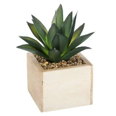 Factory cuadros Planta chic con maceta madera 14cm altura - 1