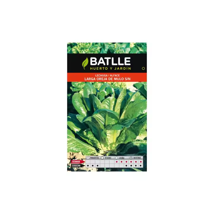 Batlle - LECHUGA LARGA OREJA DE MULO - 1