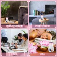 Colorido Phoenix Aromaterapia Humidificador USB Hogar Escorio Hydratación Silencio Coche Gran Spray Micro Aroma Atomizador, Rosa - details 3
