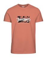 Jack & Jones Jorsequoia Tee Ss Crew Neck 1 Fst 12258061 Canyon Sunset - details 0