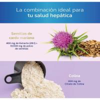 Tongil PACK 2 CARDO MARIANO Extracto de Semillas Concentrado 25:1 con 80% Silimarina y Colina  Apoyo para el Hígado, Limpieza y Detox - details 3