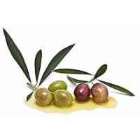 Carbonell® Aceite de Oliva Virgen Extra, Botella 1L , Pack de 1-4 Botellas - details 2