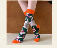 Calcetines De Algodón Coloridos Para Mujer 2024 Moda Primavera Otoño Plantas Echinacos Sloth Estilo Trendy Personales - details 12