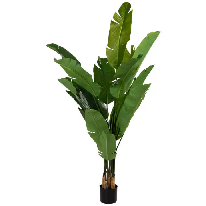 Sterlitzia artificial decorativa verde con 16 hojas, 75x75x180h cm - 1