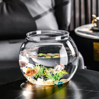 Maceta Autoabastecida Transparente De Plástico Para Plantas Y Acuarios Decoración Moderna Para Sala De Estar Y Oficina - details 7