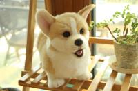 Juguete De Perro Suave De 32CM Muñeco De Peluche Simulación Corgi Juguetes Para Mascotas Animal De Peluche Para Niños - details 1