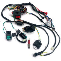 Ensamblaje Completo De Electrónica Para Motocicleta CDI Estator 6 Bobina Para ATV Quad Pit Bike Buggy Go Kart 50cc 70cc 110cc 125cc - details 1