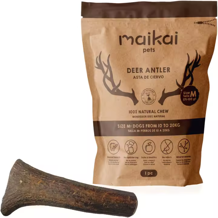 MAIKAI Asta de Ciervo para Perro - Mordedor Natural para Perros - Resistente -  Juguete para Perros - 1