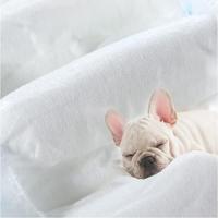 16 Pcs Pañal para Perro Bps Buena Pet Shop - details 4