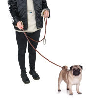 Correa De Cuero Para Perro Pitbull Duradera Con Hebilla De Escalada Adecuada Para Perros Medianos Y Grandes Para Actividades Al Aire Libre - details 9