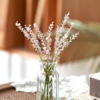 Vaso De Flora De Vidrio Transparente Estilo Europeo Mini Para Plantas Hidroponicas Decoración De Escritorio Para Casa Y Boda - details 2