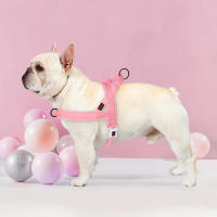Harnés Suave Para Perro Sin Arrastre De Nylon Ajustable Para Pequeños Medianos Y Grandes Incluye Chihuahua Pug Harnés De Mascota Con Colchón - details 12