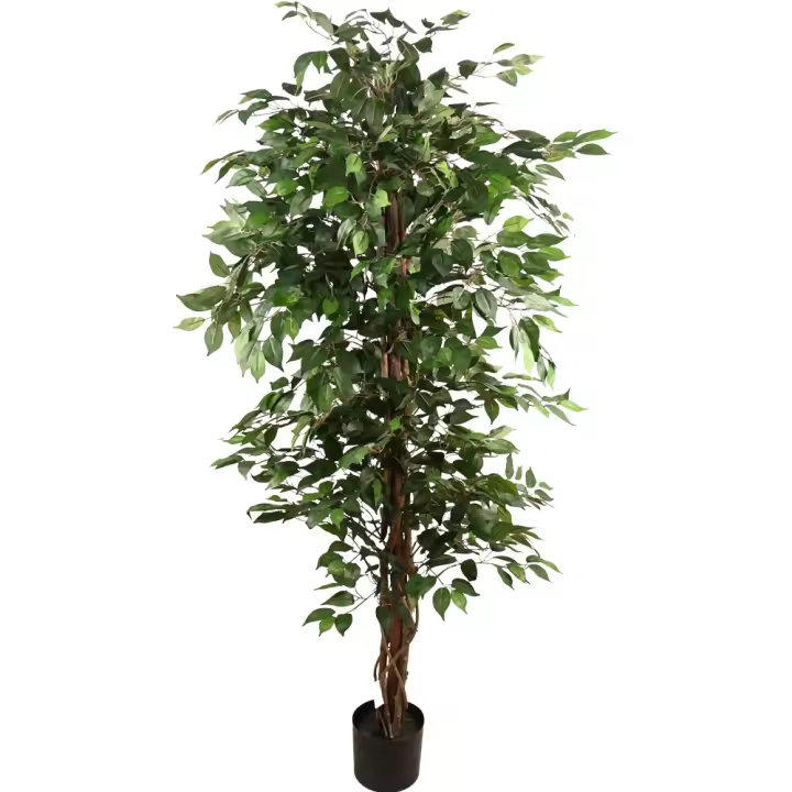 Poenia Arte Floral - Árbol Artificial Ficus en Maceta 190cm - REF 630532 - Decoración Realista - 1
