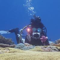 PULUZ Soporte De Aluminio Para Underwater Con Manillas Doble Para Cámara De Diversión Montaje Para Luz De Video Y Cámara De Inmersión - details 11
