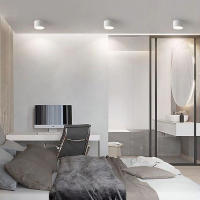 Lámpara De Techo LED Nordic 9W 15W 20W Montada En La Superficie Iluminación Interior Para Sala De Estar Y Dormitorio AC220V Negro Y Blanco - details 9