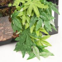 Ornamento De Acuario Plantas Artificiales Colgantes Duraderas Y Antifading Con Adhesivo Para Reptiles Y Peces Tamaño 40/50CM - details 3
