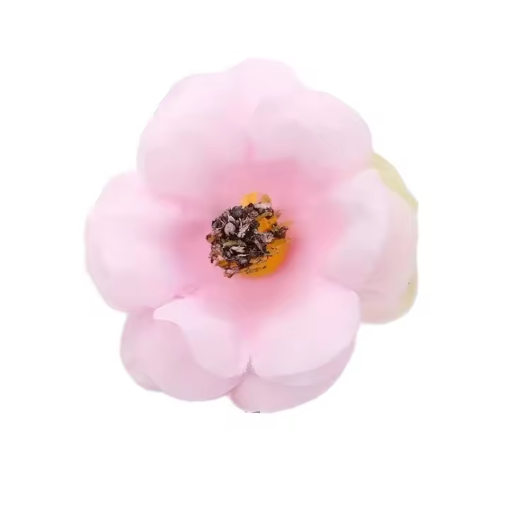 50Pcs Cabezas De Rosas Artificiales Multicolores Miniatura En Seda Para Decoración De Hogar Bodas Artesanía Wreath Regalos Accesorios - 1