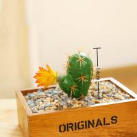 Mini Cactus Artificial Falsa Suculentas Plantas Verdes Para Decoración De Escritorio Hogar Jardín Hotel Accesorios Decorativos - details 6