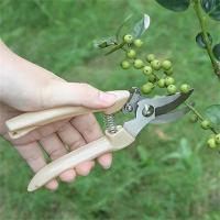 Tijeras De Podar Para Jardín Profesionales Herramientas Manuales De Ortofruta Tijeras De Bonsái Para Jardinado Acero Inoxidable Curvadas - details 6