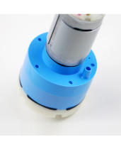Bomba De Aire Silenciosa DC12V/24V 60APM Presión Negativa 80Kpa 17L/min Para Tanque De Peces Y Dispositivo Médico Bomba De Aire Baja Ruido - details 4