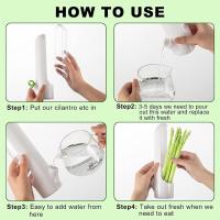 1pc Creativo Recipiente De Almacenamiento Para Verduras Y Hierbas Anti-Pulverizaciones Uso Doméstico Botella De Viaje Sin Químicos Originales En China - details 2