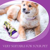 Juguete Masticable Para Perros Forma De Zapatilla Divertida Juguetes Interactivos Para Morder Y Limpiar Los Dientes De Tu Mascota - details 2