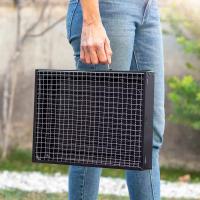 InnovaGoods - Barbacoa Portátil Plegable para Carbón BearBQ, BBQ Sobremesa - details 1