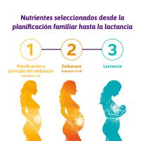 Femibion 1 - Planificación y principio del embarazo - Para 4 Semanas - details 0