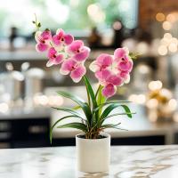 Orquídea Artificial Phalaenopsis En Maceta Planta Verde Para Jardín Oficina Hogar Bodas Y Decoración Interior Estilo Bonsái - details 6