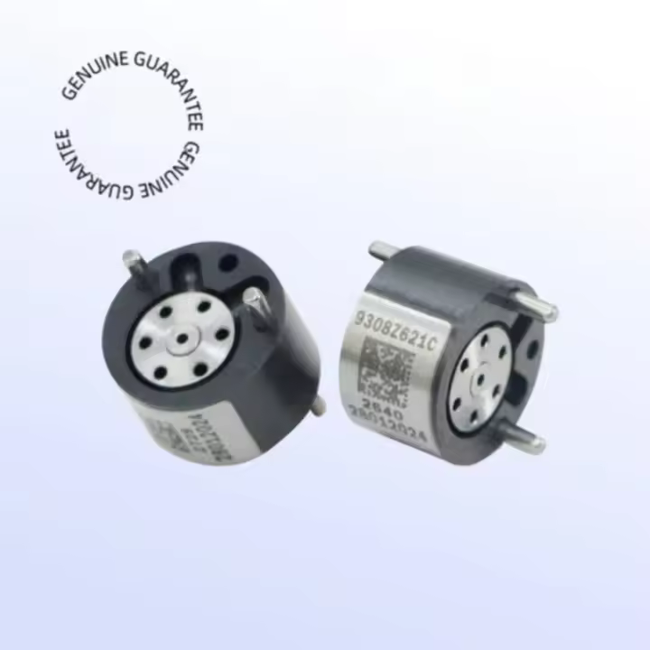 Válvula De Control Del Inyector Delphi Para RENAULT EJBR05102D 166001137R 28232251 Pieza De Repuesto De Automóvil 9308Z621C - 1