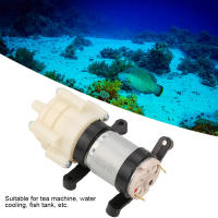 Bomba De Diapafragma Eléctrica DC 12V Mini Para Máquina De Té Y Acuario Bomba De Succión De Agua Para Pequeños Equipos Eléctricos - details 2