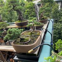 Juego De Riega Automático Universal 5-20M Con Boquilla De Cobre Rotativa Para Jardín Y Balcones Kit De Riego Con Atomización - details 8