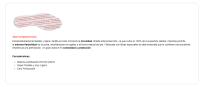PANTER BOTAS DE SEGURIDAD MARCA PANTER MODELO SILEX PLUS S3 - details 0