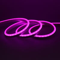 Tira De LED Flexible 12V Neón 2835 120LEDs/M Luz De Cuerda Impermeable Para Exteriores Azul Caliente Rosa Blanco Rojo Amarillo Verde 1M 5M - details 10