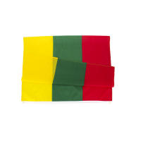 Bandera De La República De Lituania 90x150 CM Para Decoración Material Poliéster Estilo Colgante Fabricada En Super-Tex - details 1