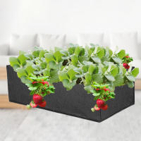 Bolsas de Jardín Portátiles para Cultivo en Color Sólido Forma Cuadrada Ideal para Plantar Zanahorias Zapatillas de Aceituna - details 7