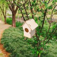 Caja De Pájaros De Madera Miniatura Para Exterior Casa Colgante Para Pájaros DIY Pintura Decoración De Jardín Cova Para Papagayo - details 15