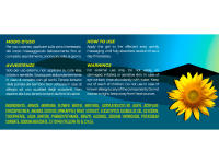 KALAHARI Arnica Gel 98% Extrema - Extra Fuerte potenciado con Bromelina-Para Masaje Muscular y Articular, Proporción Alivio, Contracturas - Fórmula Natural, Made in Italy, 500ml - details 1