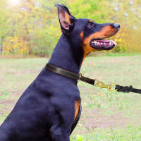 Collar De Cuero Genuino Duradero Para Perros Medianos Y Grandes Collar De Entrenamiento De Ahogo Para Labrador Y Aleman Shephard Negro Marrón - details 10