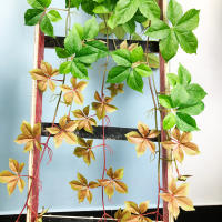 Planta Artificial De Palma Tropica 160cm Hojas Verdes Vibrantes Vines Para Decoración De Jardín Muralla Colgante De Seda Monstera - details 4