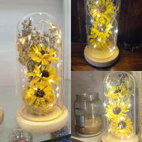 Lámpara De Solitario Artificial En Vaso Con Cordón LED Regalo Romántico Para Aniversario Flor De Técnica De Hoja Dura Material Vidrio - details 0
