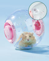 Juguete De Ejercicio Para Rattus Y Ratones Pequeños Sphynx Y Hamsters Pelota Deportiva Al Aire Libre Ratón Juguete De Correr 12CM - details 2