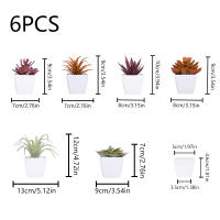 1SET(6PCS) Succulentas Simulación Pequeñas En Macetas Para Decoración De Hogar Balcón Baño Estantería Jardín Mini Realistas 22449ZH6 - details 9