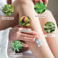 LA MISTT Gel Piernas Ligeras Efecto Frío 250 ml - Efecto Calmante y Refrescante Alivia la Tensión Muscular - details 1