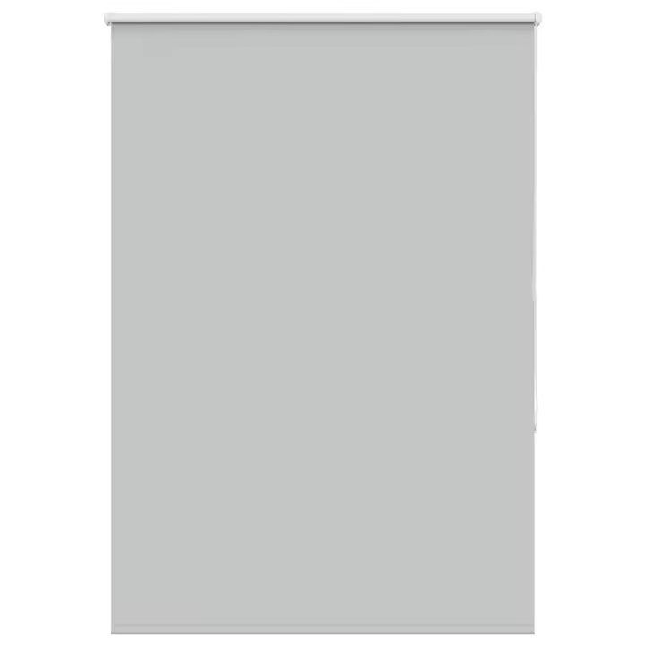 Estor Enrollable Opaco gris claro 100x150 cm Tela Ancho 95,7 cm - 1