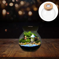 Pequeño Terrario De Moss Artificial Para Acuario De Peces En Vaso De Vidrio Blanco Micro Paisaje Para Decoración De Oficina - details 4