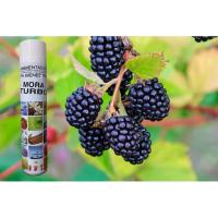 Ambientador Spray Turbo PH Bienestar 750ml – Neutralizador de Olores Potente para Casa, Oficina y Coche, Elimina Malos Olores de Mascotas y Tabaco, Fragancia Duradera hasta 24H - details 3