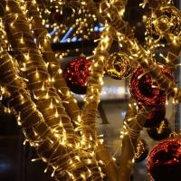 Luces LED De Navidad 220V Con Enchufe EU 10M Para Decoración Externa Guirnalda De Farolillos Para Hogar Bodas Fiestas Y Vacaciones - details 3