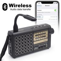 Radio Solar Recargable AM FM Con Conexión De Teléfono Y Altavoz Euler Band Radio Portátil Con Pantalla De Plástico - details 5